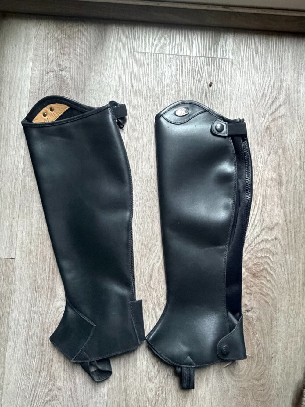 Parlanti Half Chaps | Size: M